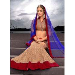 brown colour net lehenga